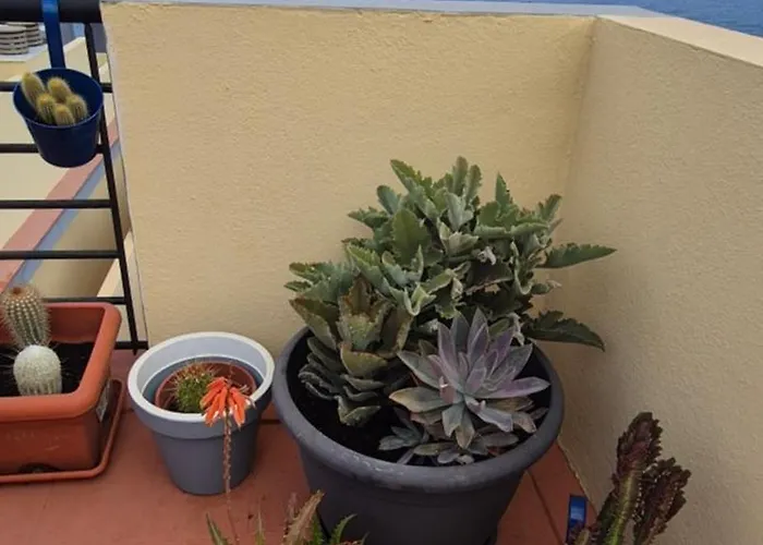 Apartamento Meerblick Caletillas Candelaria